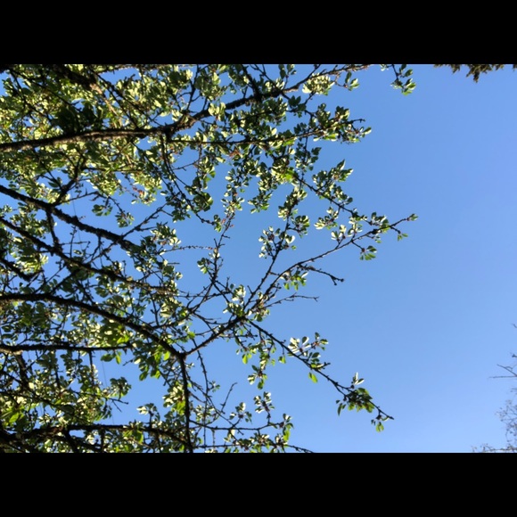 Meet your Posher, Kaylee - Picture 1 of 1